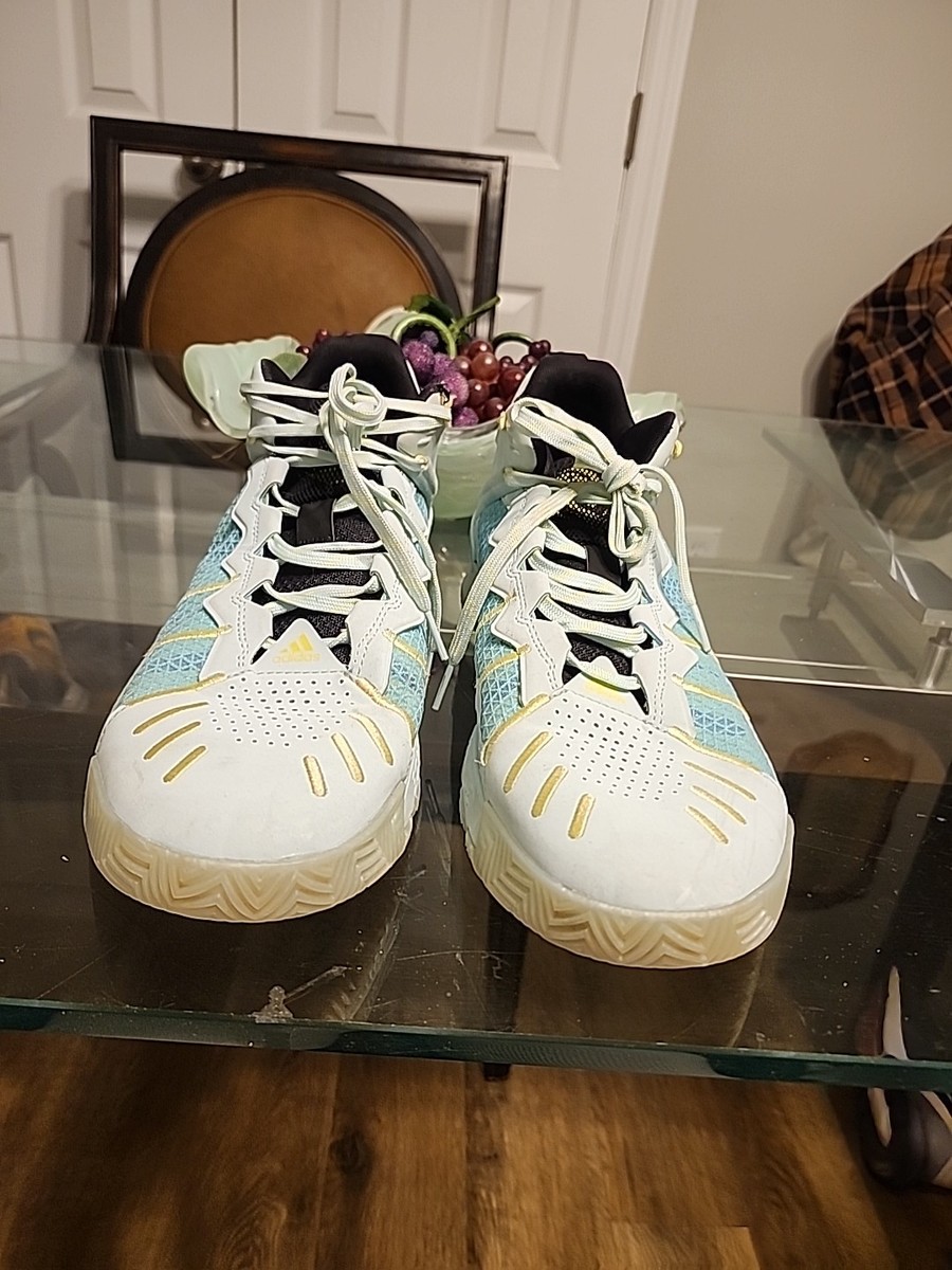 Size 11 - adidas D Rose Son of Chi Godspeed 2021