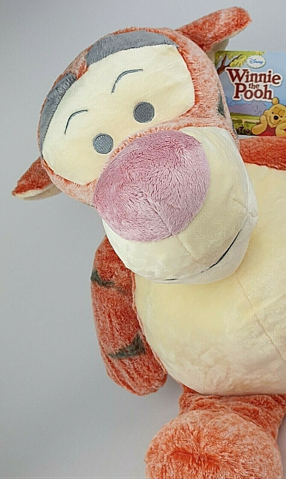Foto 16 di 19