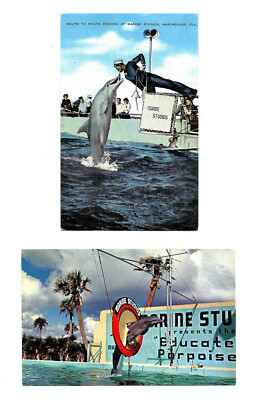 St Augustine FL Postcards Marineland Marine Studios Porpoise Florida