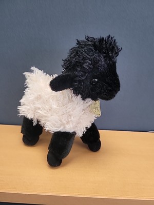 Aurora - Miyoni - 8.5'' Suffolk Lamb Black & Cream