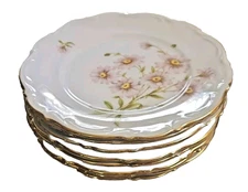 8 Mitterteich Bavaria Germany Daisy Bell Salad Plates 7 3/4" Gold Rim Mint