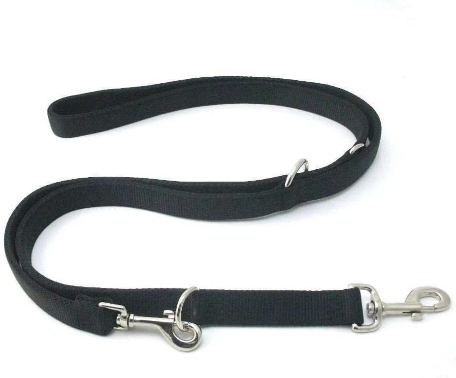 Hamilton dog cheap leash