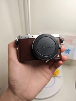Panasonic Lumix Panasonic LUMIX DMC−GM1S DMC-GM1: Digital