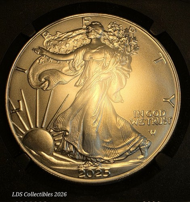 #ad #ad 2025 American Silver Eagle NGC Graded MS 70 Special Black Core RED BOOK LABEL $125.00