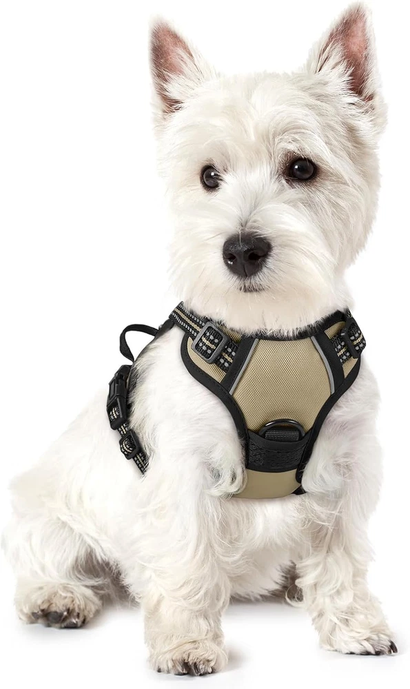 Dog Harness No Pull with 2 Leash Clips, Adjustable Soft Padded, Reflective Oxfor