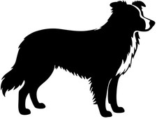  Adesivo Border Collie sticker adesivo auto pellicola adesivo silhouette #10