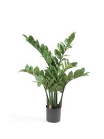 Artplants Deko Pflanze Zamioculcas Simano, 70Cm