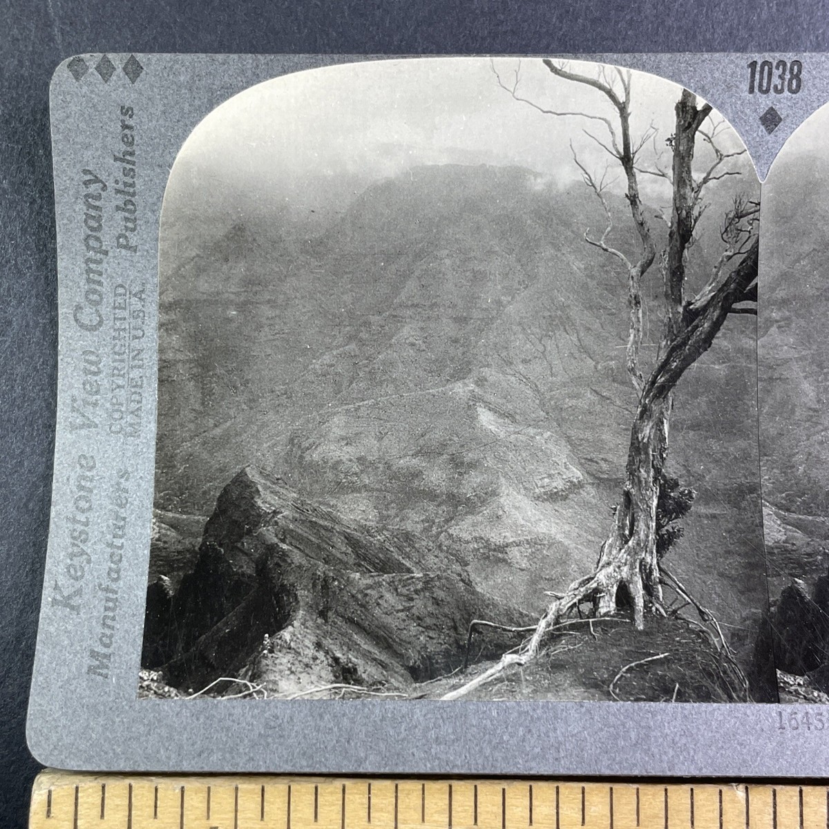 Road to Grave of Robert Louis Stevenson in Samoa Stereoview c1910s