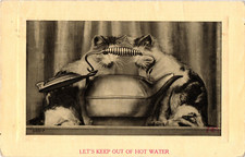 CATS Kittens LETS KEEP OUT OF HOT WATER Antiq...