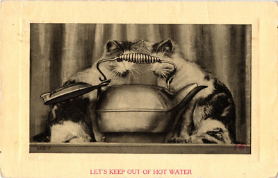 CATS Kittens LET'S KEEP OUT OF HOT WATER Antique c1911 Postcard