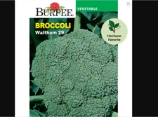 Burpee Waltham 29 Broccoli Vegetable Seed Packet Heirloom Full Sun Large Seeds