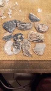 40 Oyster Clam Shell Cabs Seashells Beach Jewelry Pairs Natural Pearlescent J US