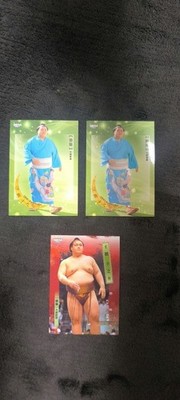 BBM Sumo Cards 2025-2026 Oho Single Cards Set of 3 Collectible