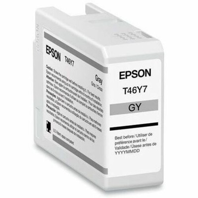 Epson Ultrachrome PRO10 Ink - Gray (T46Y700), Standard