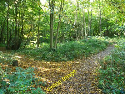 Foto 12x8 Pfad in Walderslade Woodlands Kit's Coty Dieser Weg führt aus W c2012