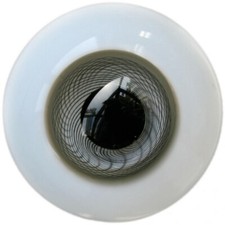 wamami 8-24mm Gray Glass Eyes Eyeball BJD Doll Dollfie Reborn Making Crafts