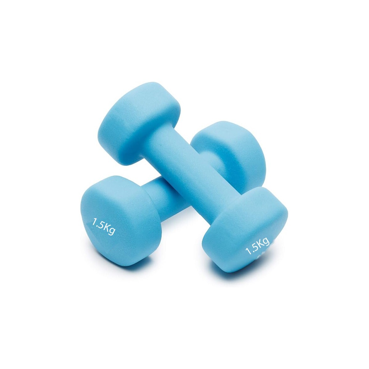 COPPIA 2 MANUBRI PESI DA PALESTRA MANUBRIO PESETTI FITNESS BILANCIERE 1.5KG
