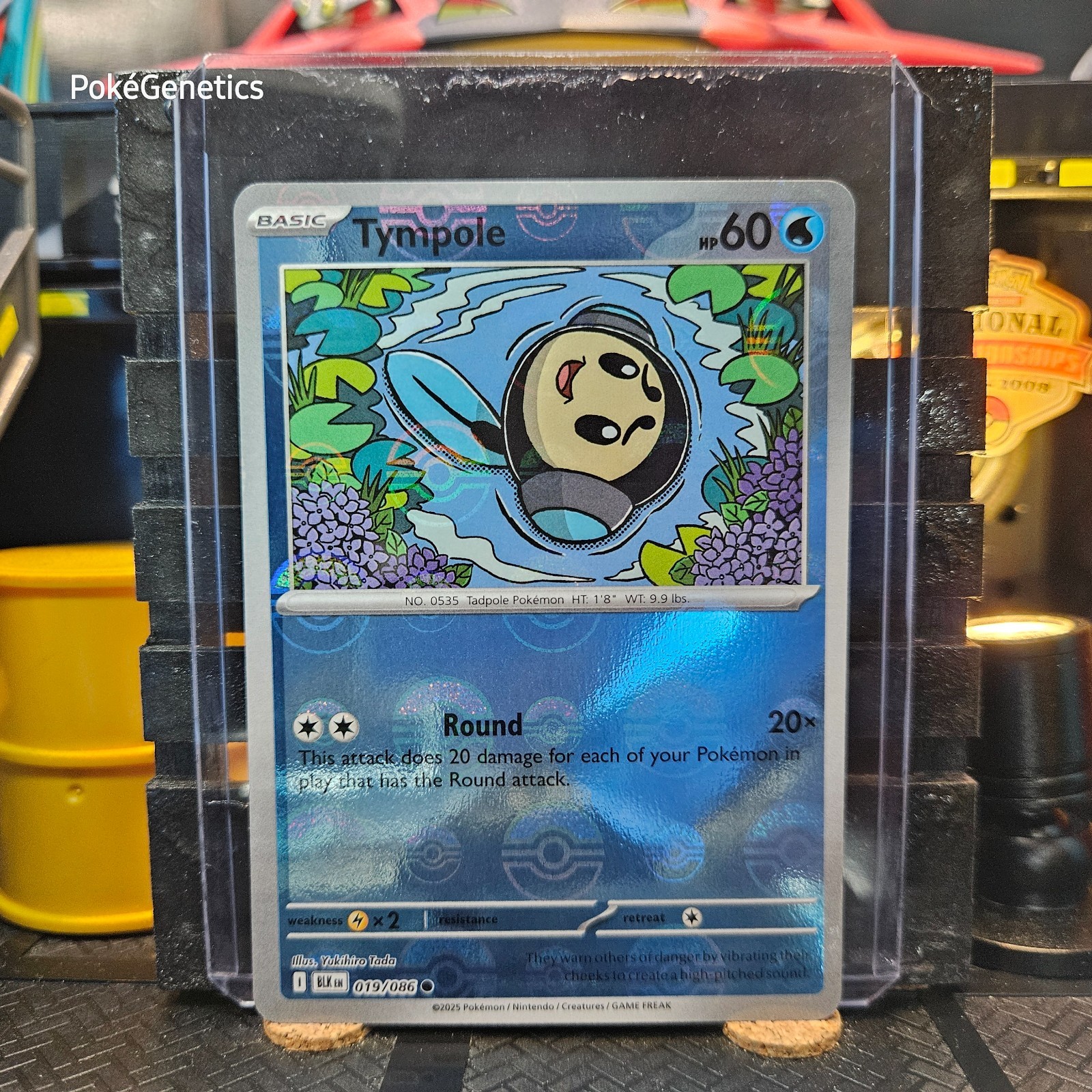 Tympole Black Bolt Reverse Holo Poké Ball Pokémon TCG 019/086 Scarlet & Violet