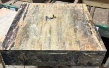 ONE (1) LARGE SPALTED AMBROSIA MAPLE BOWL BLANK LATHE TURNING WOOD 12" X 12 X 3"