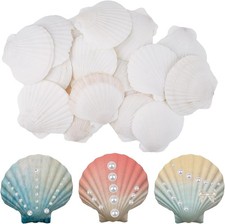 20 Stück Jakobsmuschel, Natürliche Muscheln Groß, Muschelschalen Fächermuschel,