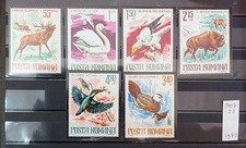Romania 1977 Mi 3417-3422 MNH** Zoo animals . See Photos for Condition
