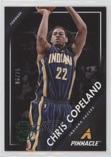2013-14 Panini Pinnacle Green Artist Proof 6/25 Chris Copeland #228 1f7d
