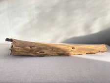 reptile terrarium decoration hideout wood rodent habitat log bark natural