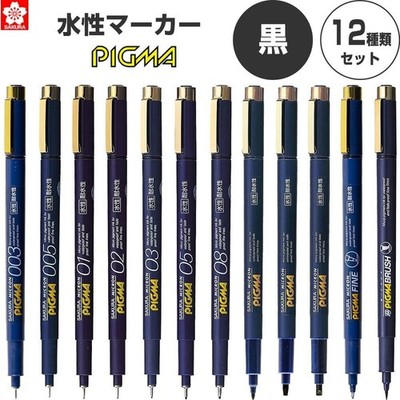 Sakura Pigma Micron Fine Pen / Black / 12 size set / From Japan