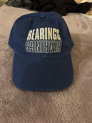 Bearings Mirror Dad Hat