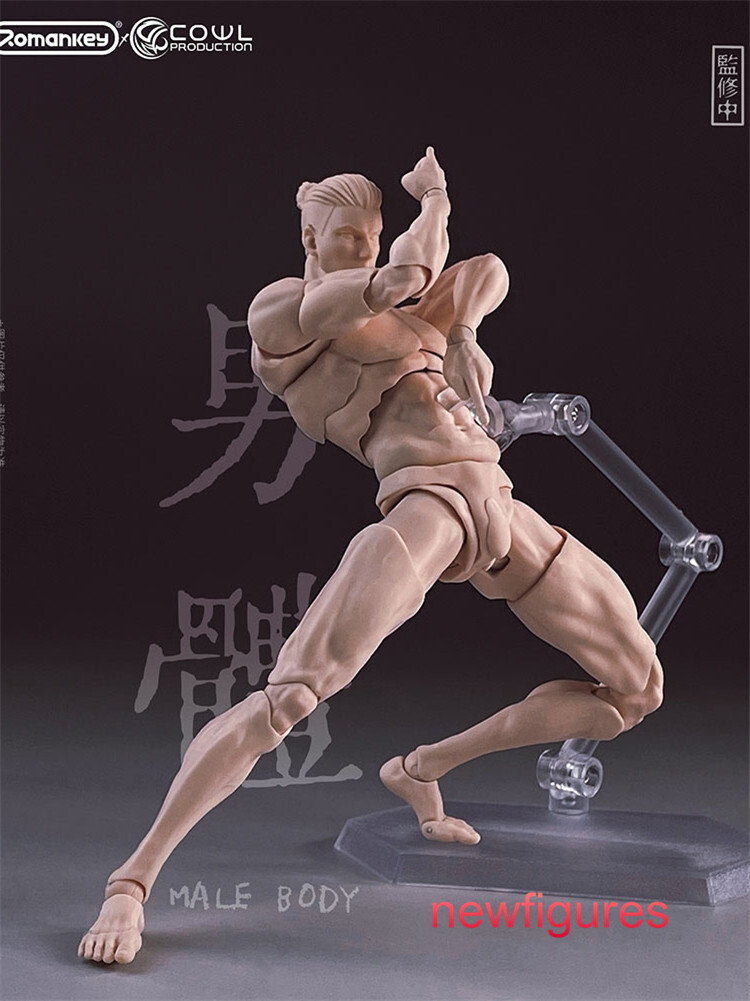Romankey X COWL 1/12 Action Figure Male Body black Skin