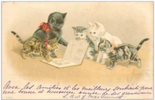 Rare Antique 1903s Vintage Litho. Postcard Cats looking at the photo album