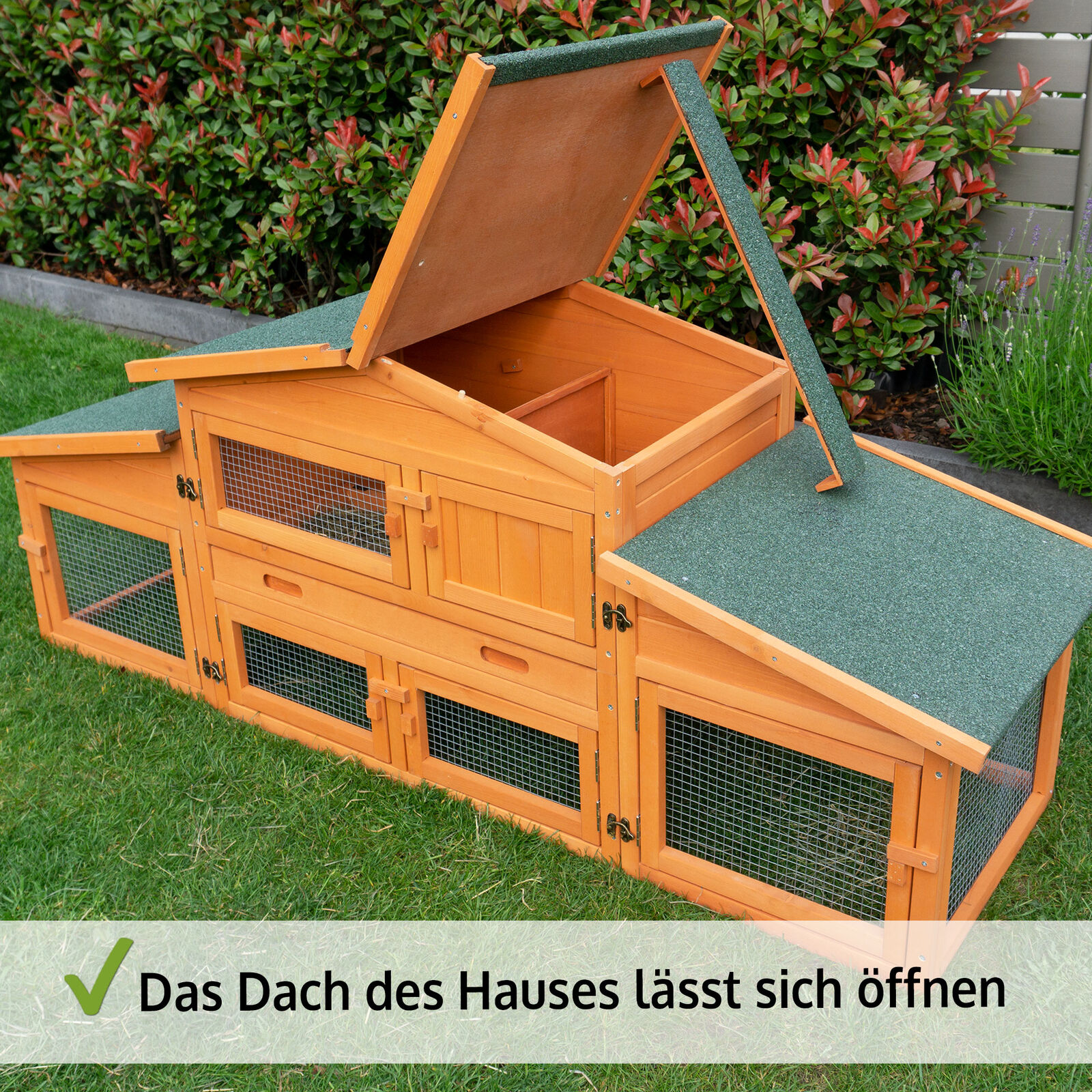 Bild 7 von 12