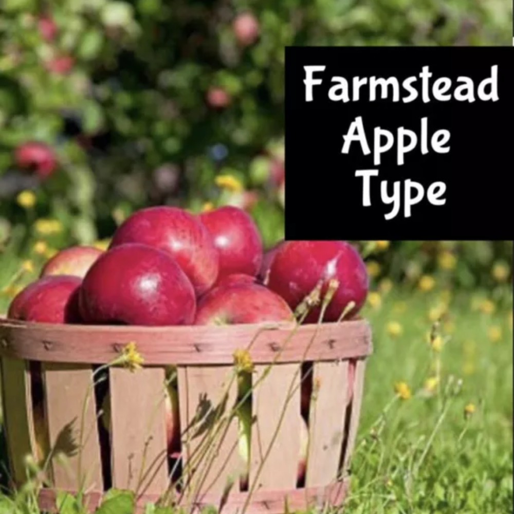FARMER'S STAND APPLE Perfume Cologne Body Lotion Scrub Splash Hair Fragrance Oil