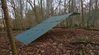 Bild 10 von 11