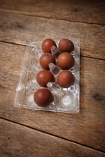 7 black copper marans hatching eggs