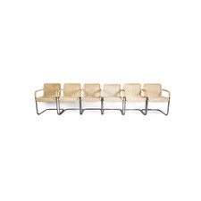 6er Set Original Tecta D41 Freischwinger Bauhaus Stuhl hell design