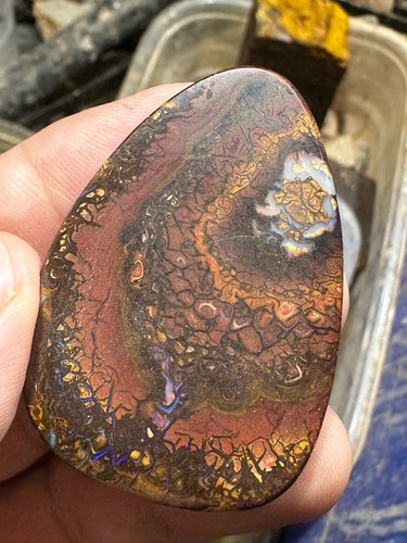 137.5 ct large Cabochon (52 x 35 mm) Multi Color Koroit Boulder Opal nut cab - Picture 2 of 6