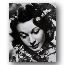 Vivien Leigh actress classic beauty beautiful 8x10 Photo