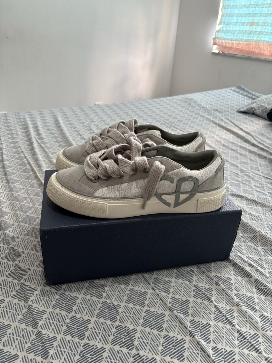 Dior B33 Dior Oblique Grey | eBay