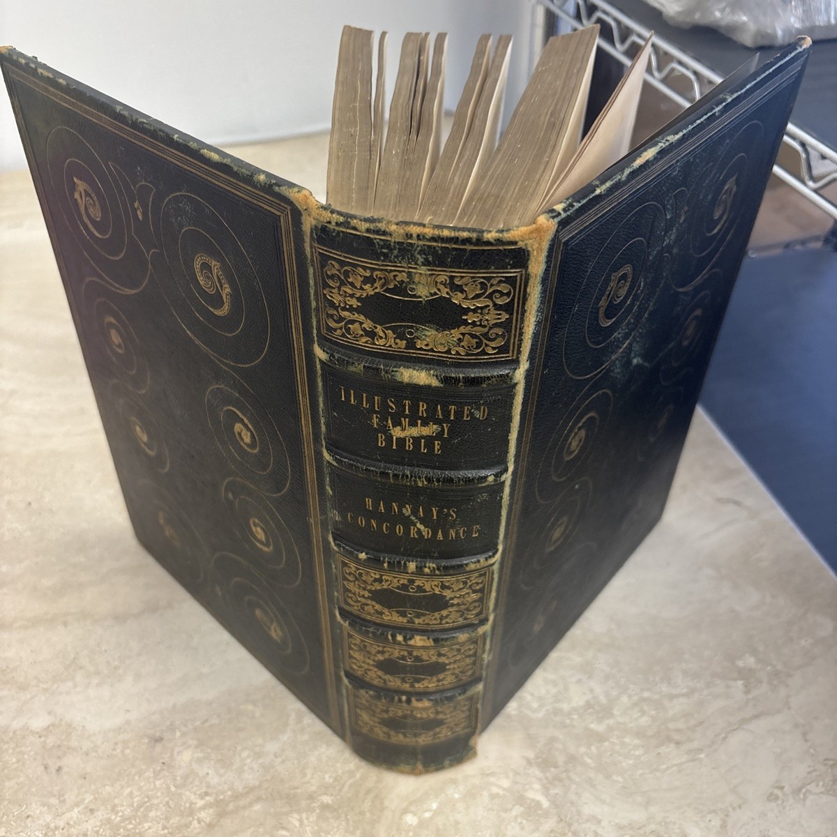 The Illustrated Family Bible by Rev. John Brown Published In