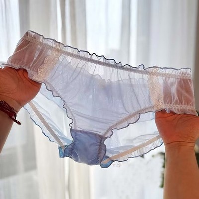 Japanese Sweet Womens Transparent Panties Brief Sheer Plus Size Lolita Underwear