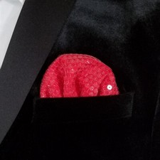 NEW - Men's Sequin Pre-Folded Pocket Square Insert - Cherry Red