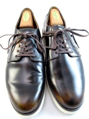 Allen Edmonds "CARSON" Leather HYBRID LACEUP Derby 9.5 EEE Antique  Bronze(461N) | eBay