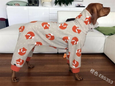 dog print coat