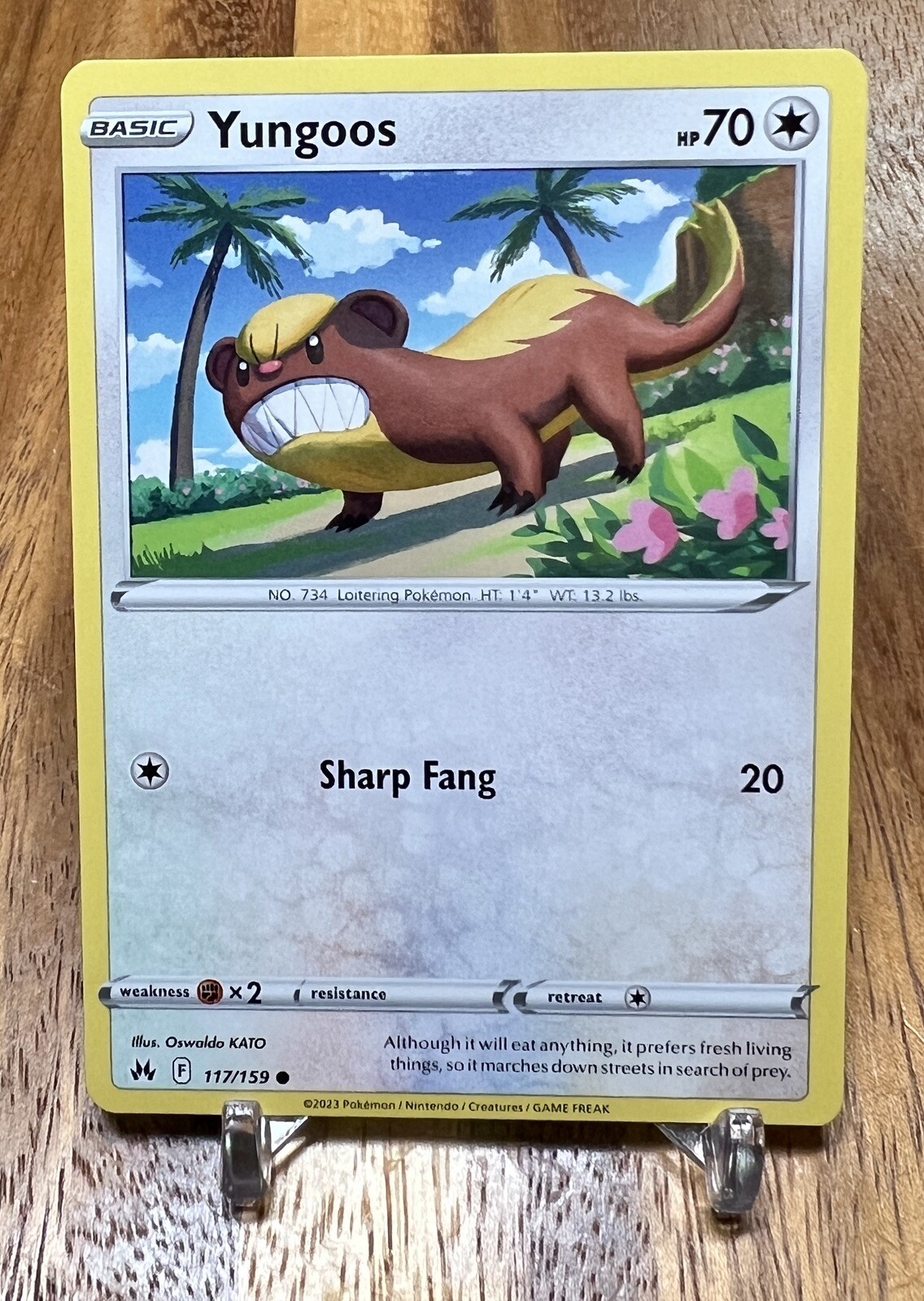 Yungoos 117/159 Crown Zenith Pokemon Card NM