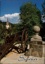 Romania Sinaia The Peles Castle cannon ~ unused postcard sku073