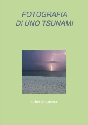 Roberta Spiccia Fotografia Di Uno Tsunami (Taschenbuch)