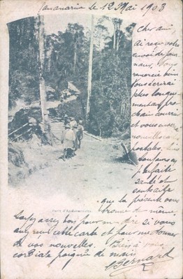MADAGASCAR Analamazoatra forest 1903 litho PC
