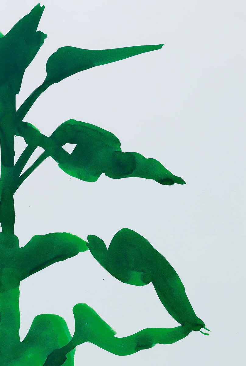 Ellsworth KELLY: Sunflower - Original Poster | eBay