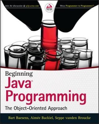 Beginning Java Programming: The Object-Oriented Approach - Paperback - GOOD